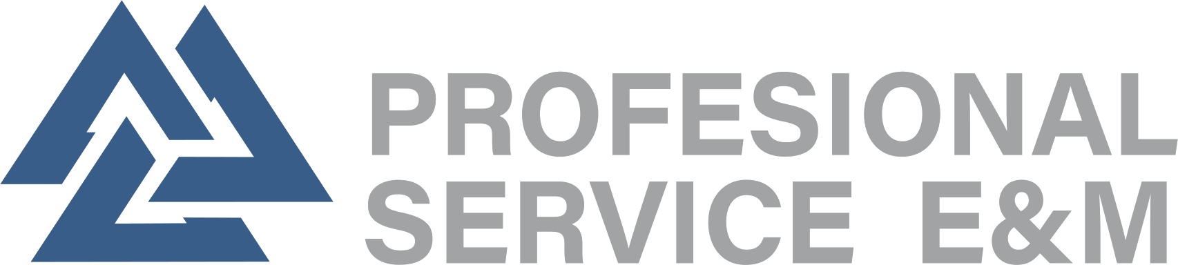 Profesional Service E&M